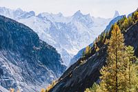 Mountain landscape with snow-capped mountains and autumn colors