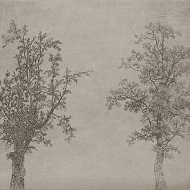 Die beiden Bäume (eine Erle und eine Esche) [Monotöne] von Affect Fotografie