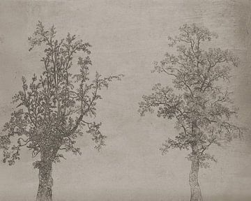 De twee bomen (een els en een es) [mono tonen]