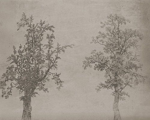 Die beiden Bäume (eine Erle und eine Esche) [Monotöne] von Affect Fotografie