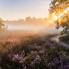 Strahlender Sonnenaufgang in der Galderse Heide Breda von JPWFoto