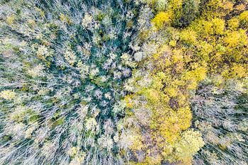 De herfst komt in zicht, vanuit de lucht