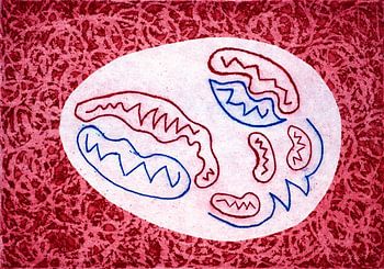 Aller au cœur du sujet