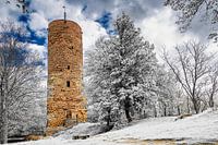 A view of the Bornstedt castle ruins in Germany