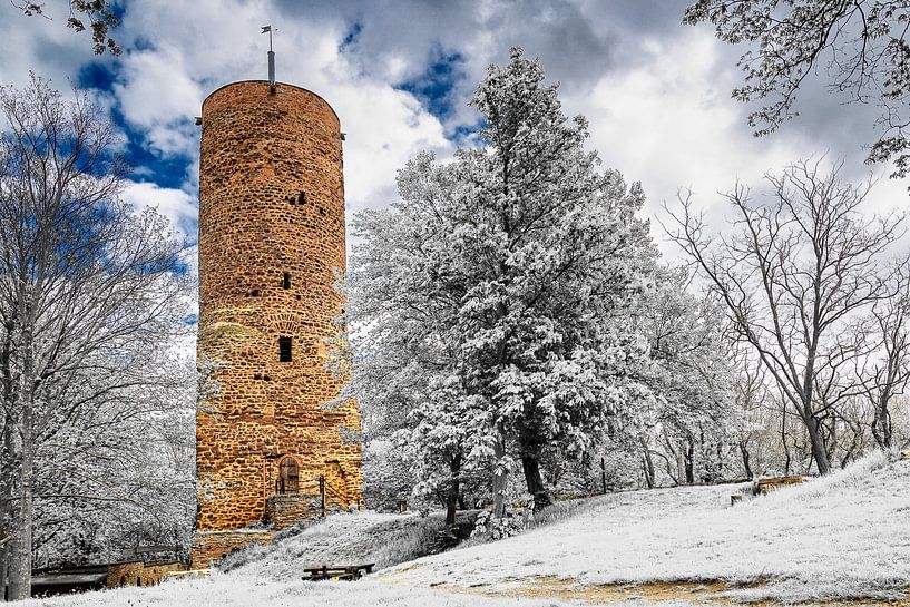 Vue des ruines du château de Bornstedt en Allemagne par Andreas Völkel