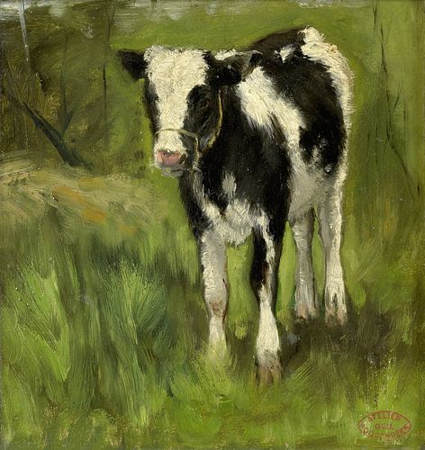 Kalfje, zwart en wit gevlekt, Geo Poggenbeek