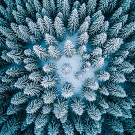 Winter forest by Poster Art Shop