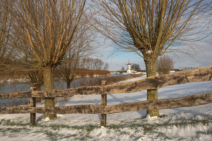 Molen De Vlinder in de sneeuw van Moetwil en van Dijk - Fotografie