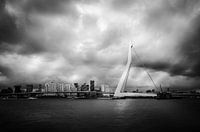 Erasmus Bridge Rotterdam