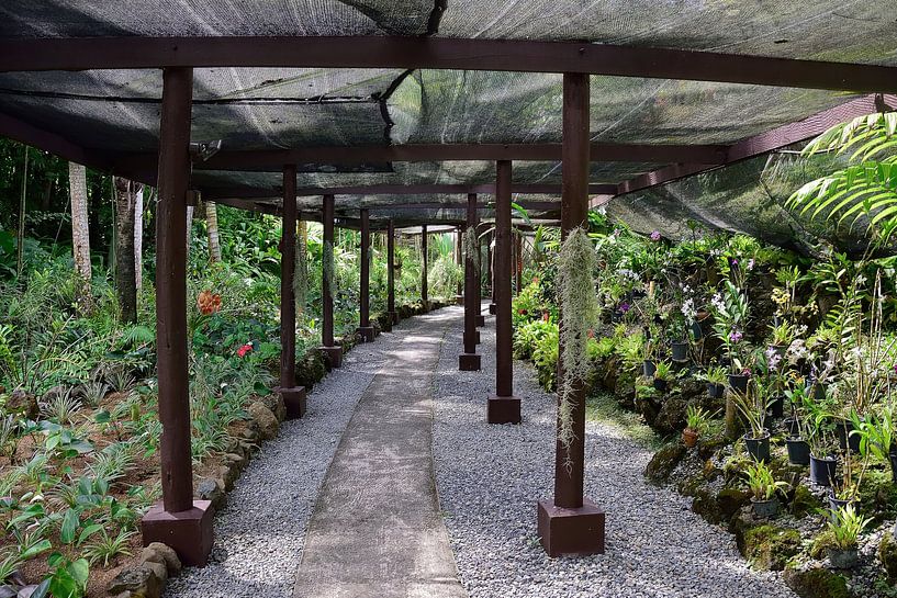 Début de la promenade dans le jardin par Frank's Awesome Travels