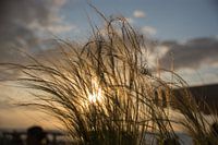 Sonntag Sonnenuntergangstag!