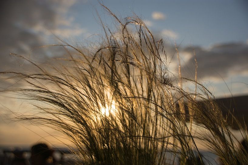 Sonntag Sonnenuntergangstag! von Manuel Declerck