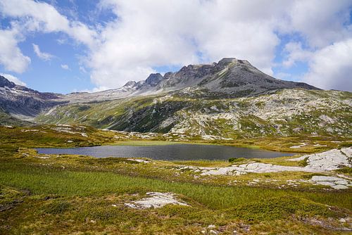 Zomers berglandschap in Zwitserland met groene alpenweiden en markante bergtoppen.