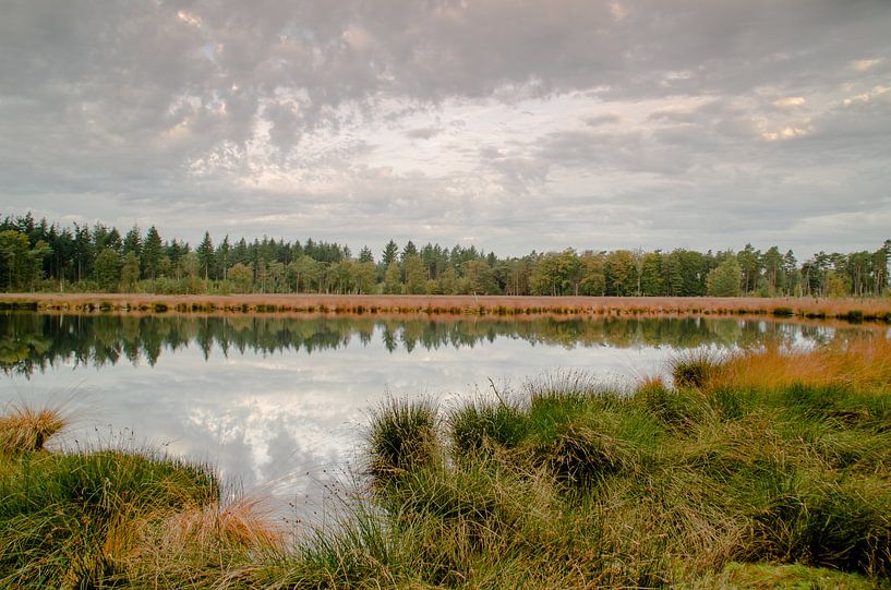 herfst in het lunsveen by Hans Wolters