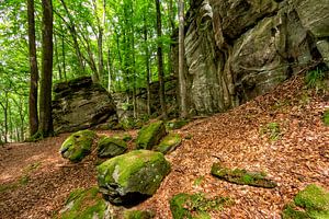 Mullerthal Trail II