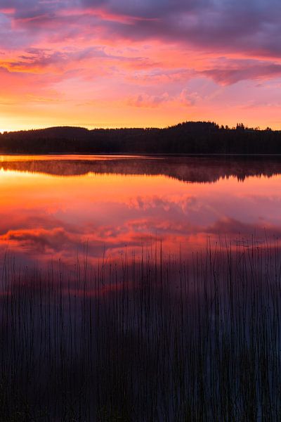 Sunrise at the lake II by Daniela Beyer