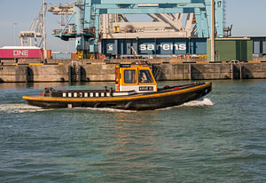 Die Ruderer auf der Maasvlakte
