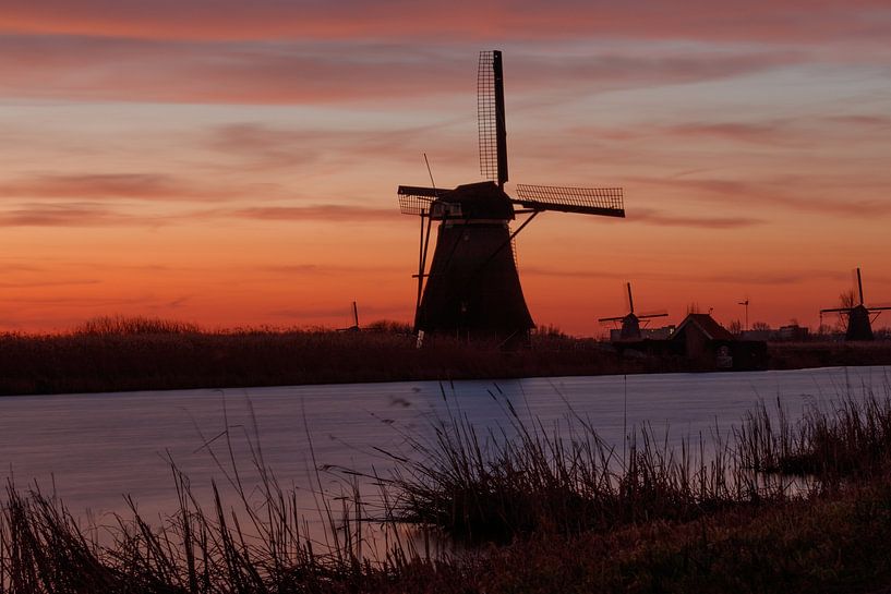 Kinderdijk von Rob Saly