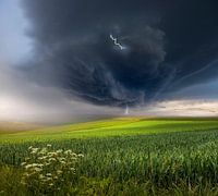 Juni storm