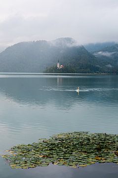 Der Bleder See mit der Kirche Mariä Himmelfahrt von Renske van der Leij