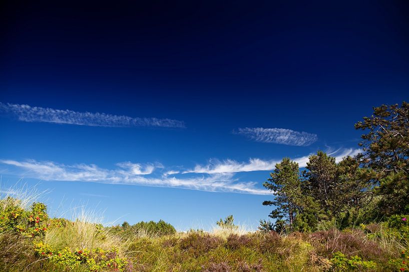 Küstenlandschaft von Bo Valentino