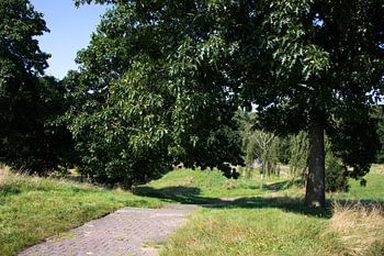 Die Natur entdecken in einem Waldgebiet im Emsland, Niedersachsen, Deutschland