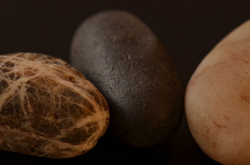 Keitjes von Marian Steenbergen