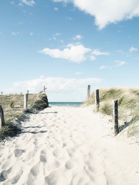 Pathway to the beach, Baltic Sea von Andreas Berheide Photography