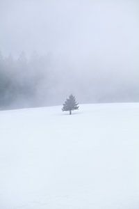 single tree on snow in fog van Olha Rohulya