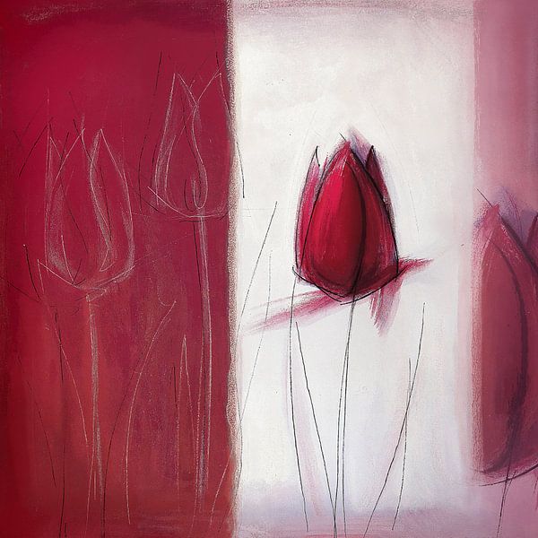 Tulip by Joan Engels