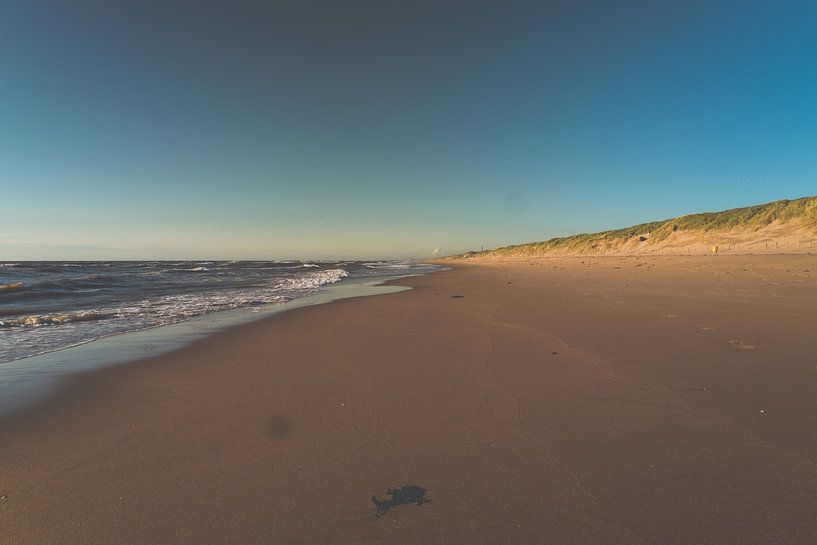 Beach in the golden hour by Michael Ruland