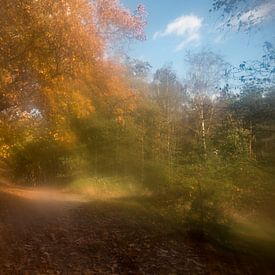 Herbstwald im Stil der alten Meister von Felix Sedney