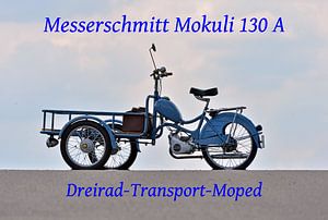 Messerschmitt Mokuli 130 A -- Pic 21 von Ingo Laue