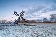 De Wieden in de winter van Nathalie Scholtens - den Besten thumbnail