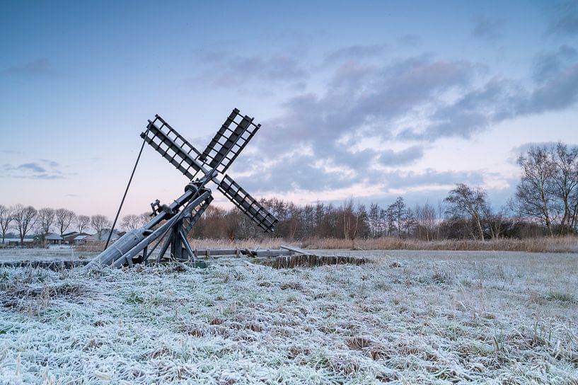De Wieden in de winter van Nathalie Scholtens - den Besten