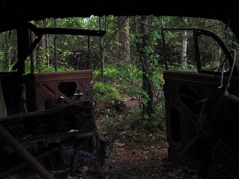 Autowrack im Wald bei Ryd 3 von Helene Ketzer