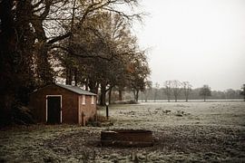 Freezing cold in Twente by Holly Klein Oonk