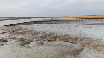 Laagwater bij Nieuwe Statenzijl