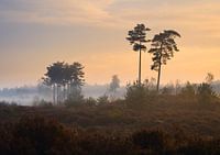 Farbiger Sonnenaufgang