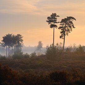 Pastel kleurige zonsopkomst van Waldo Kersten