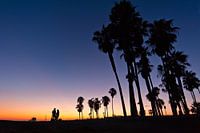 Zonsondergang Venice Beach