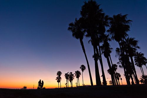 Sunset Venice Beach