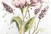 Aquarelldruck mit fliederfarbenen Blumen auf Aquarellpapier. von Emiel de Lange