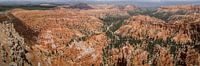 Vue panoramique du parc national de Bryce Canyon