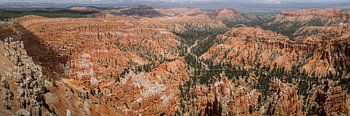 Panoramablick auf den Bryce Canyon National Park