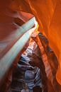 Spektakuläre Licht im Antelope Canyon, Arizona von Rietje Bulthuis Miniaturansicht