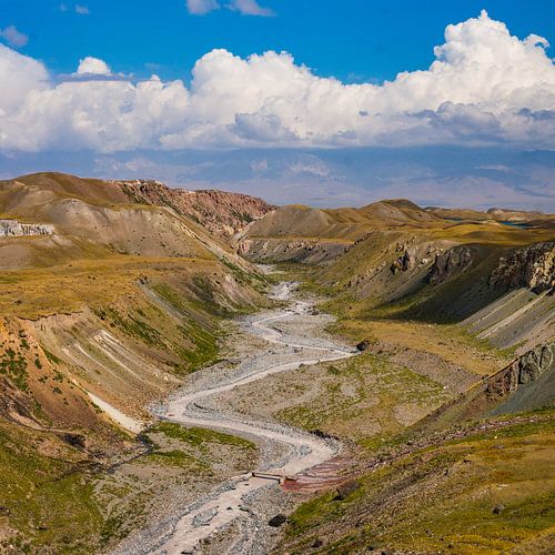 Riveir-Bett im Alai-Tal, Kirgisistan