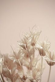 Afgelopen zomer 17 van Mareike Böhmer