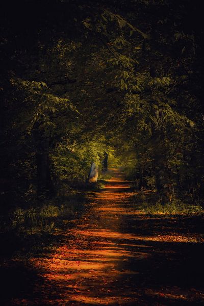 Herbstweg von Pixel4ormer