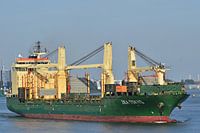 Zea Tokyo im Hafen
